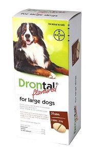 Drontal for Large Dogs