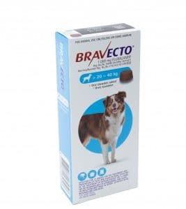 Bravecto Large Dog Chew