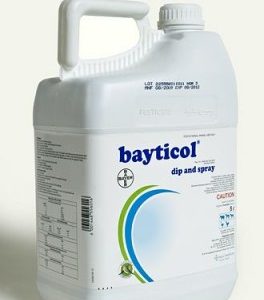 Bayticol Dip