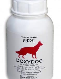 Medpet Doxydog doxycycline antibiotic