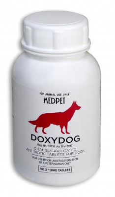 Medpet Doxydog doxycycline antibiotic