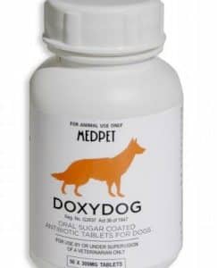 Medpet Doxydog doxycycline antibiotic