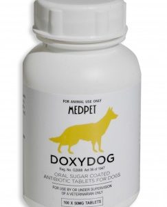 Medpet Doxydog doxycycline antibiotic