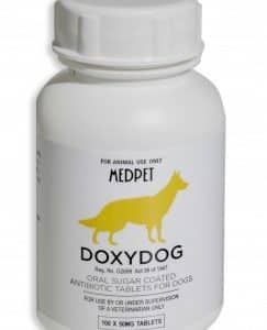 Medpet Doxydog doxycycline antibiotic