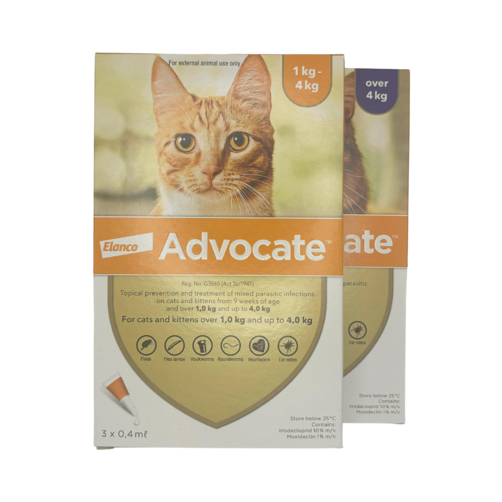 Advocate Spot-On for Cats 1 - 4kg (3 Pipette's) Orange