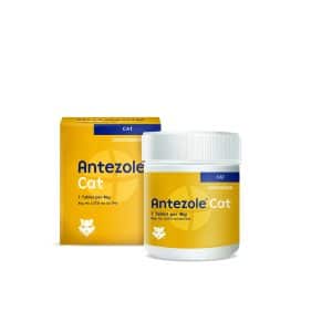 Antezole Cat