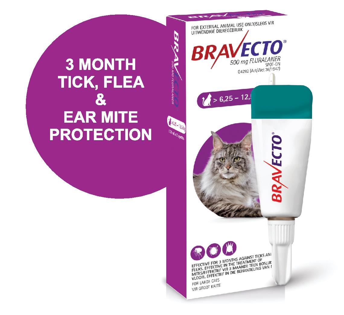 BRAVECTO SPOT-ON CAT Large Purple >12.5kg