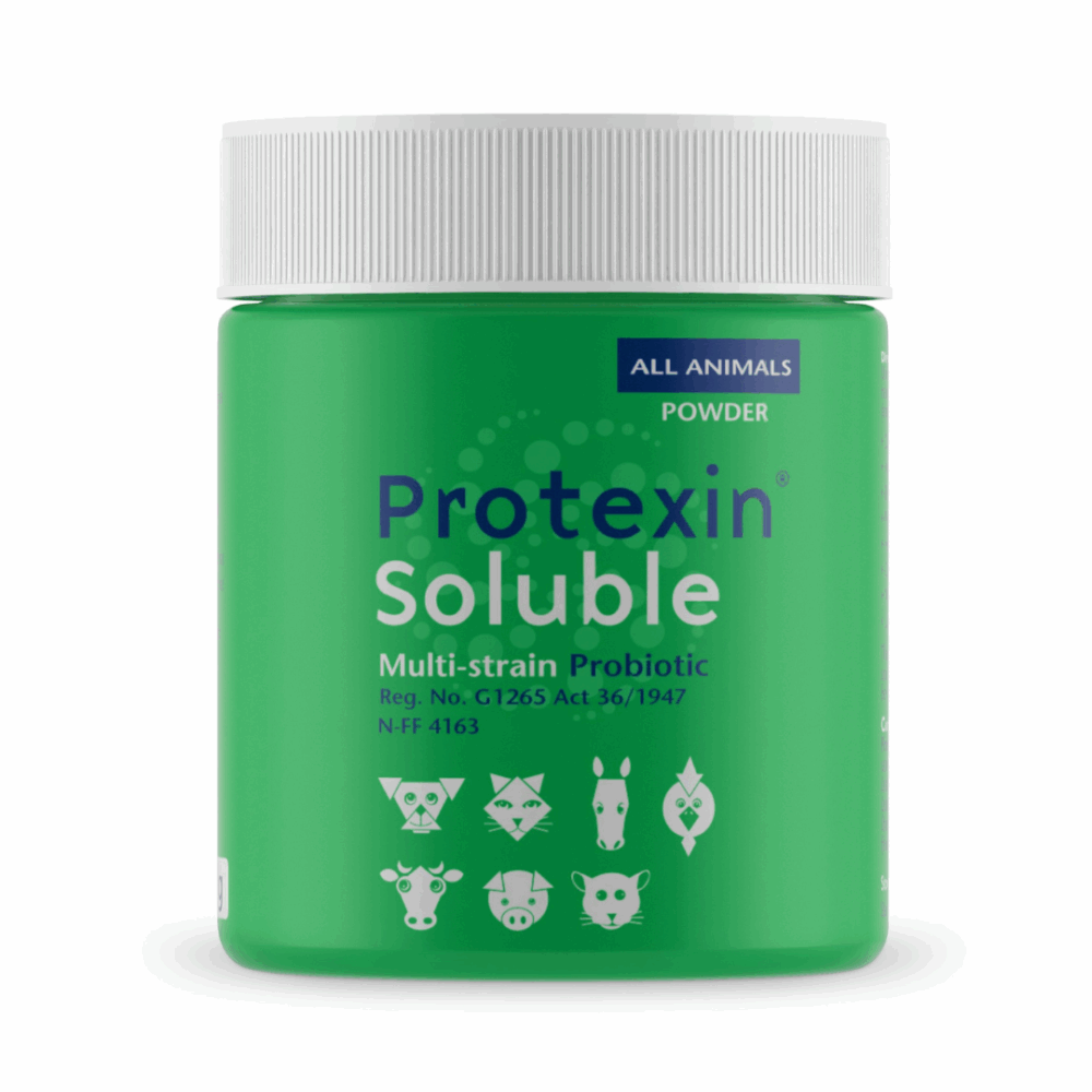 Protexin Soluble Probiotic (60g)