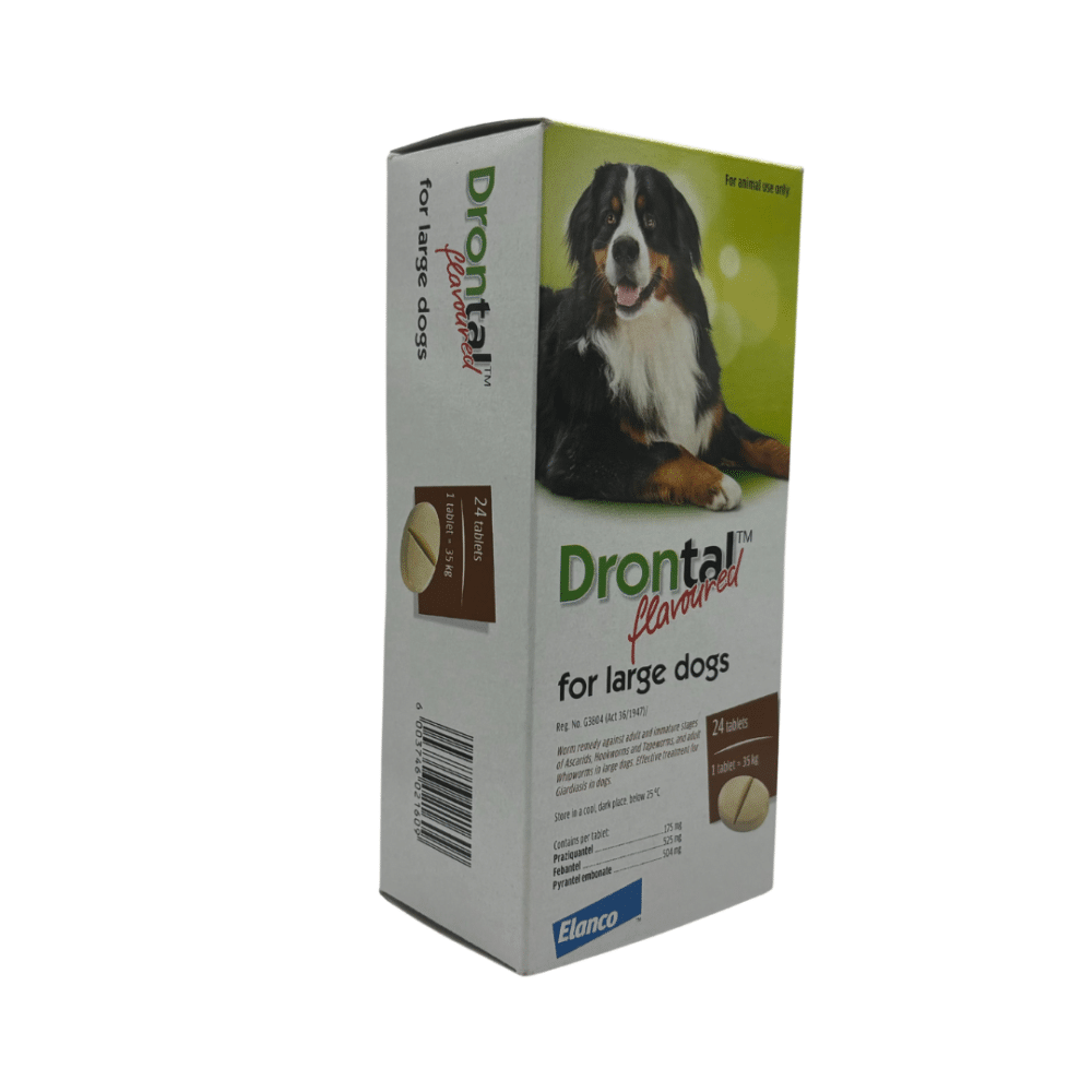 Drontal for Large Dogs (Single tablet)
