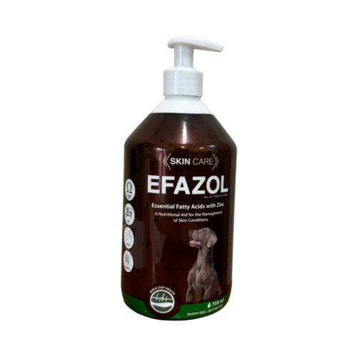 Allerderm Sensitive Skin Shampoo (250ml)