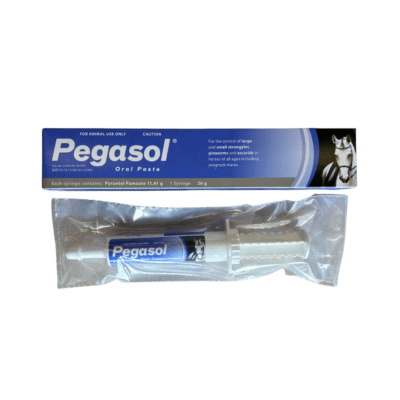 Pegasol Oral Paste Broad Spectrum equine parasiticide (26g)
