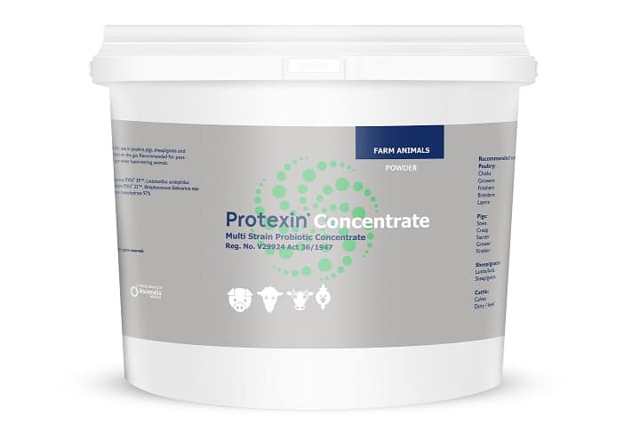 PROTEXIN CONCENTRATE 1 kg