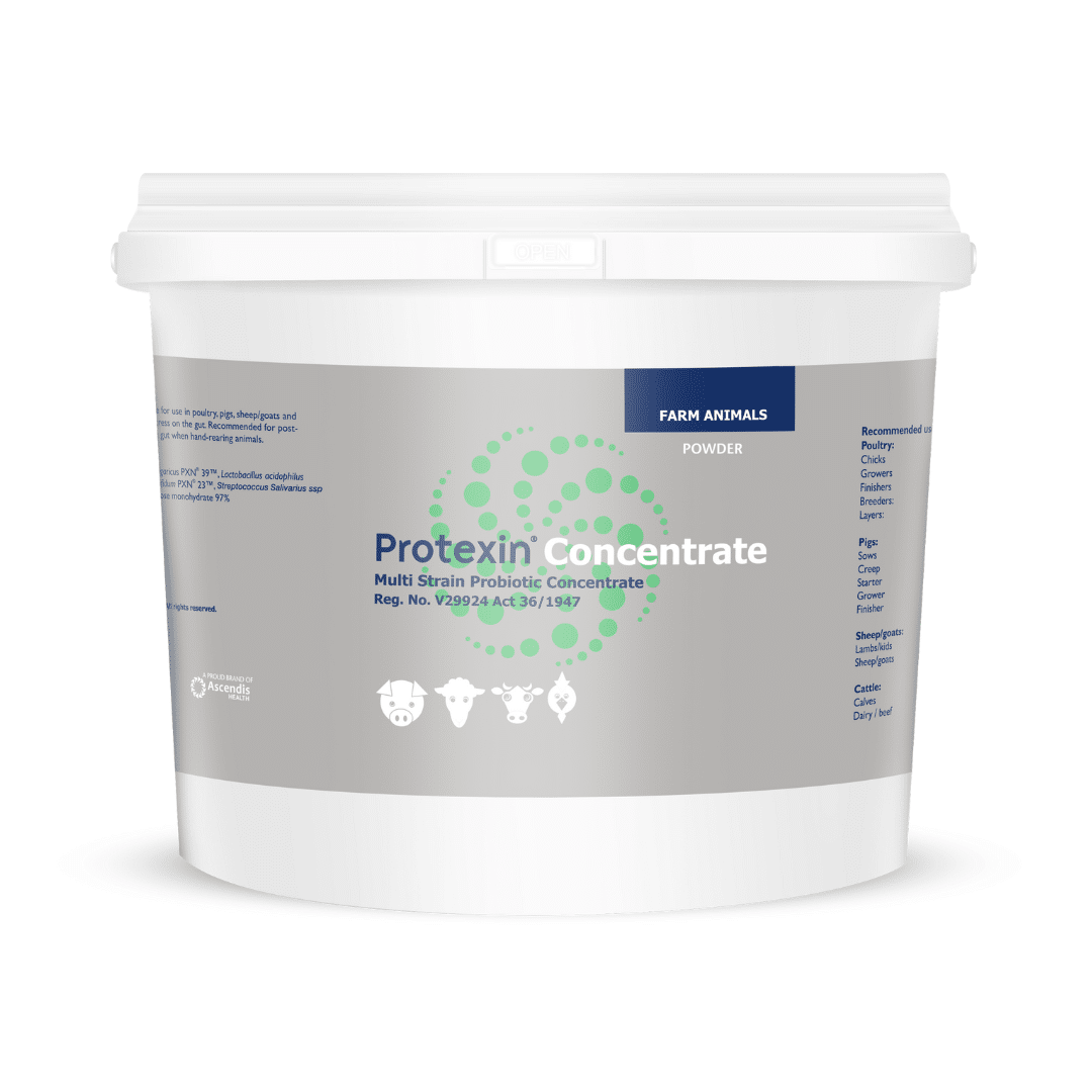 Protexin Concentrate - Multi-Strain Probiotic for Livestock (1kg)