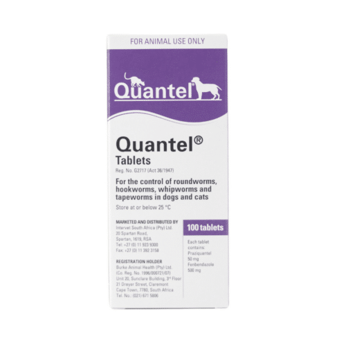 Milbemax Chewable Dewormer for Dogs more than 5kg (Single tablet)