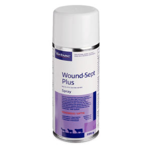 Wound Sept Plus