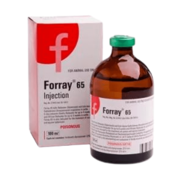 Forray 65