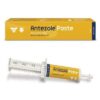Antezole Paste (15ml)