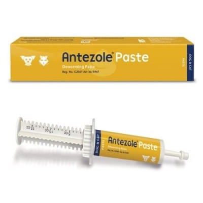 Antezole Paste (30ml)