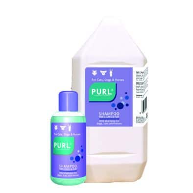 Purl Regular Shampoo (5 Litre)