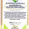 PASTEURELLA CATTLE 100ML 20D