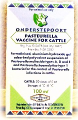 PASTEURELLA CATTLE 100ML 20D