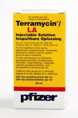 Terramycin LA Injectable Solution(20ml)