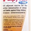PULPYVAX 1-SHOT 100ML OIL