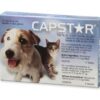 Capstar Flea Tablets for Small Dogs and Cats up to 11kg - Blue 6 Tablets