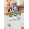 ADVANTAGE CAT SML (ORANGE)