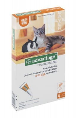 ADVANTAGE CAT SML (ORANGE)