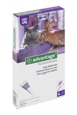 ADVANTAGE CAT LRG (PURPLE)