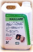 MAXICARE 2LT