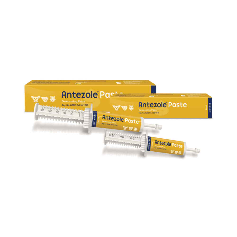 Antezole Paste (30ml)