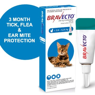 BRAVECTO SPOT-ON CAT Medium Blue 2.8 - 6.25kg