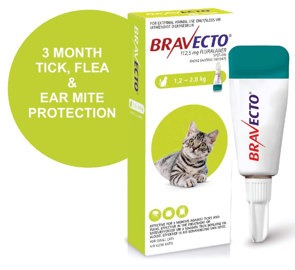 BRAVECTO SPOT-ON CAT Small Lime Green 1.2 - 2.8kg