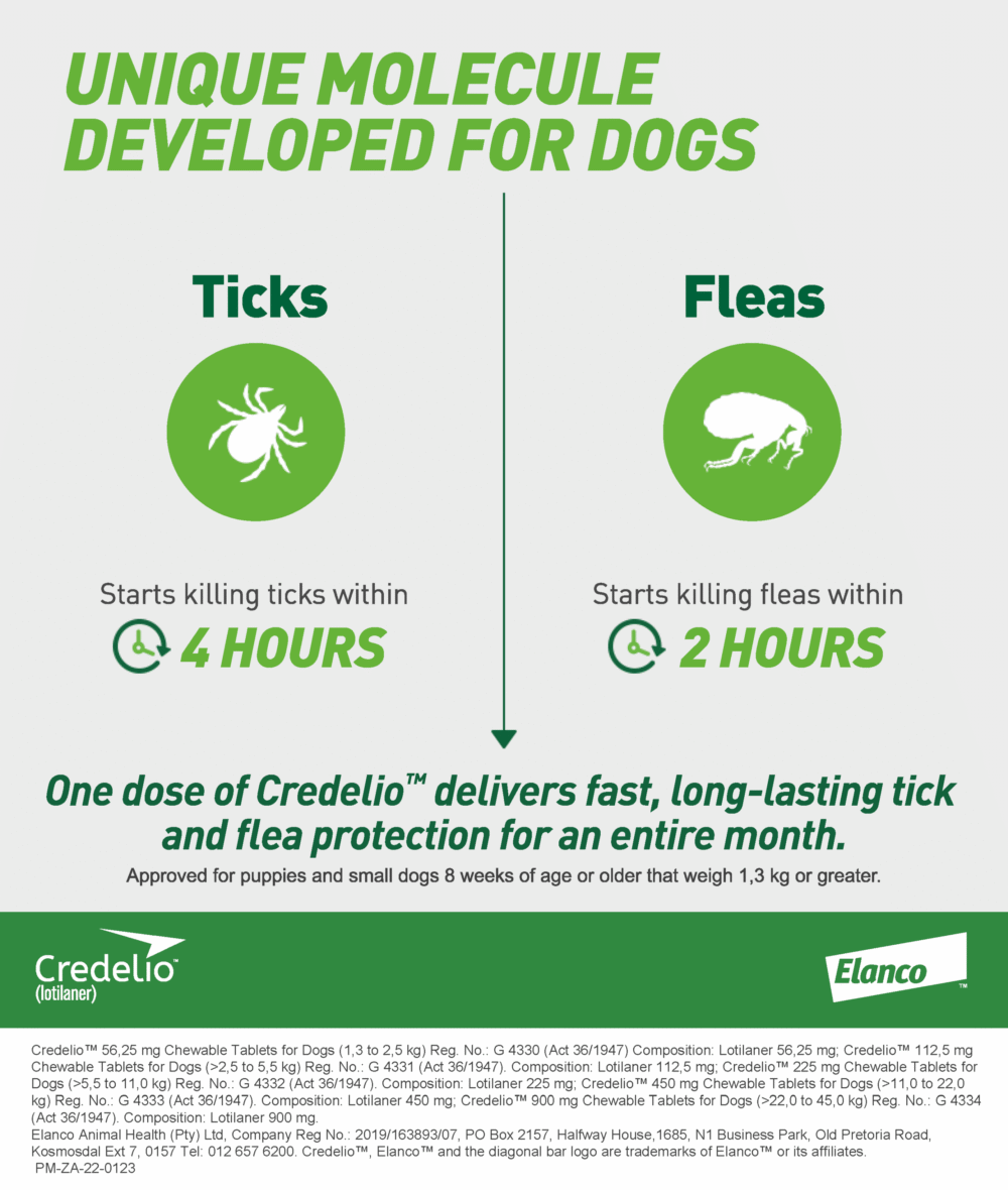 Credelio for Dogs 1.3-2.5kgs (3 doses)