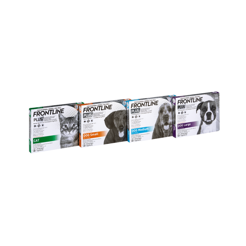 FRONTLINE PLUS CAT (3)