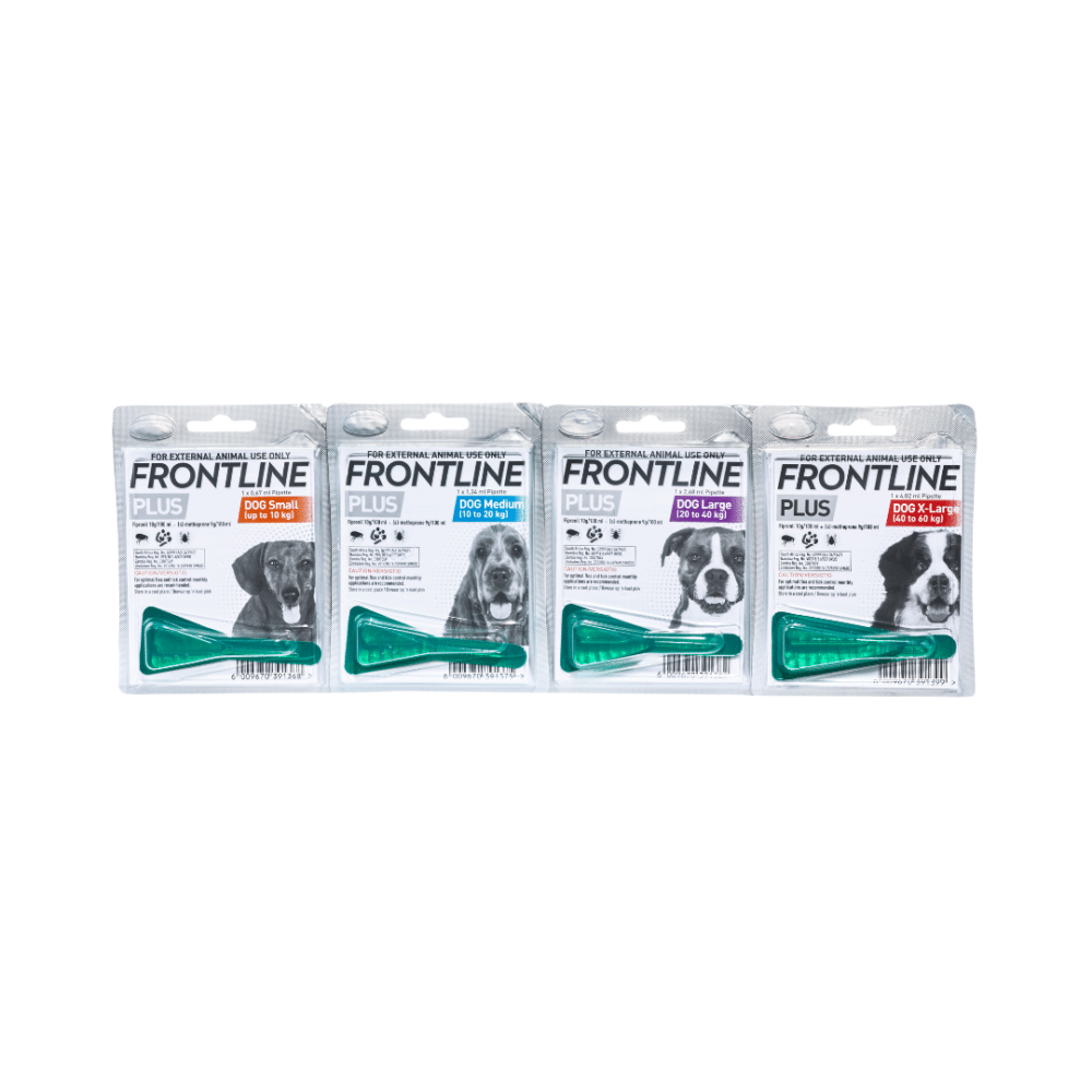 Frontline Plus Dog Medium 10 - 20kg (1 Pipettes) Blue