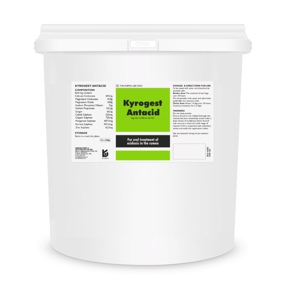 Kyrongest Antacid (12 x 320g)