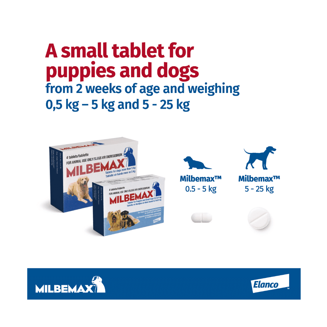 Milbemax Classic Small Dog Puppy Vet Products Online