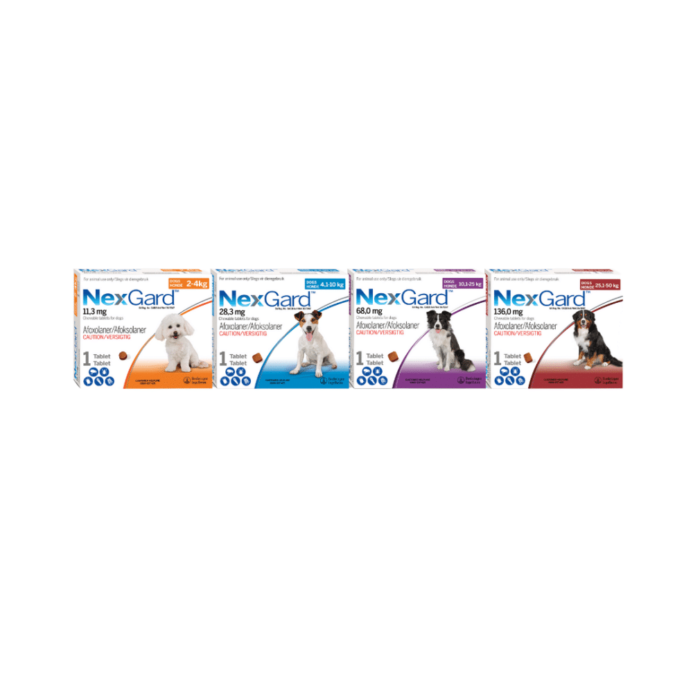 Nexgard Chewable Tablets for Dogs 2-4kg (1 Tablet) Orange