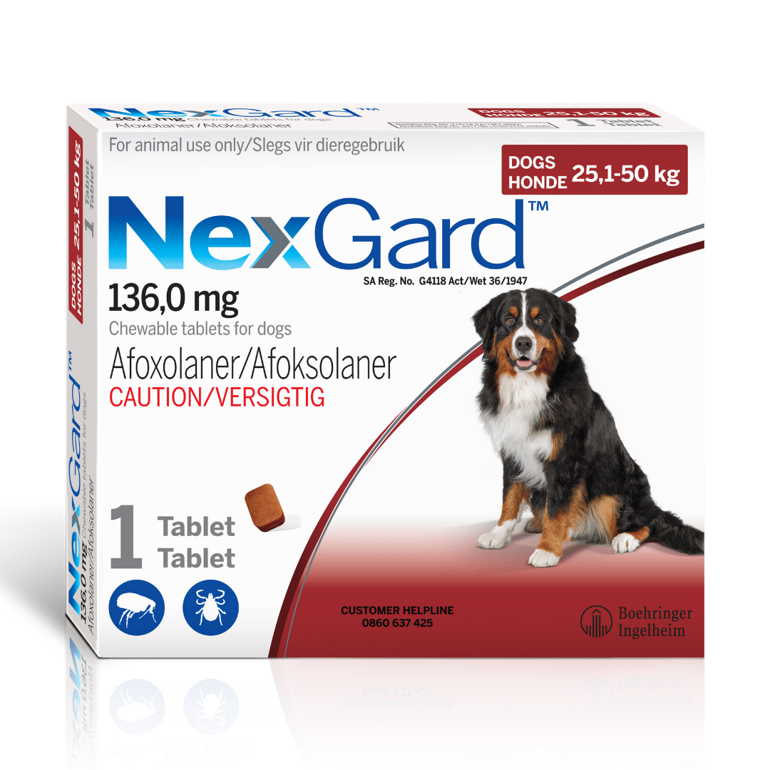 Nexgard single pack outlet