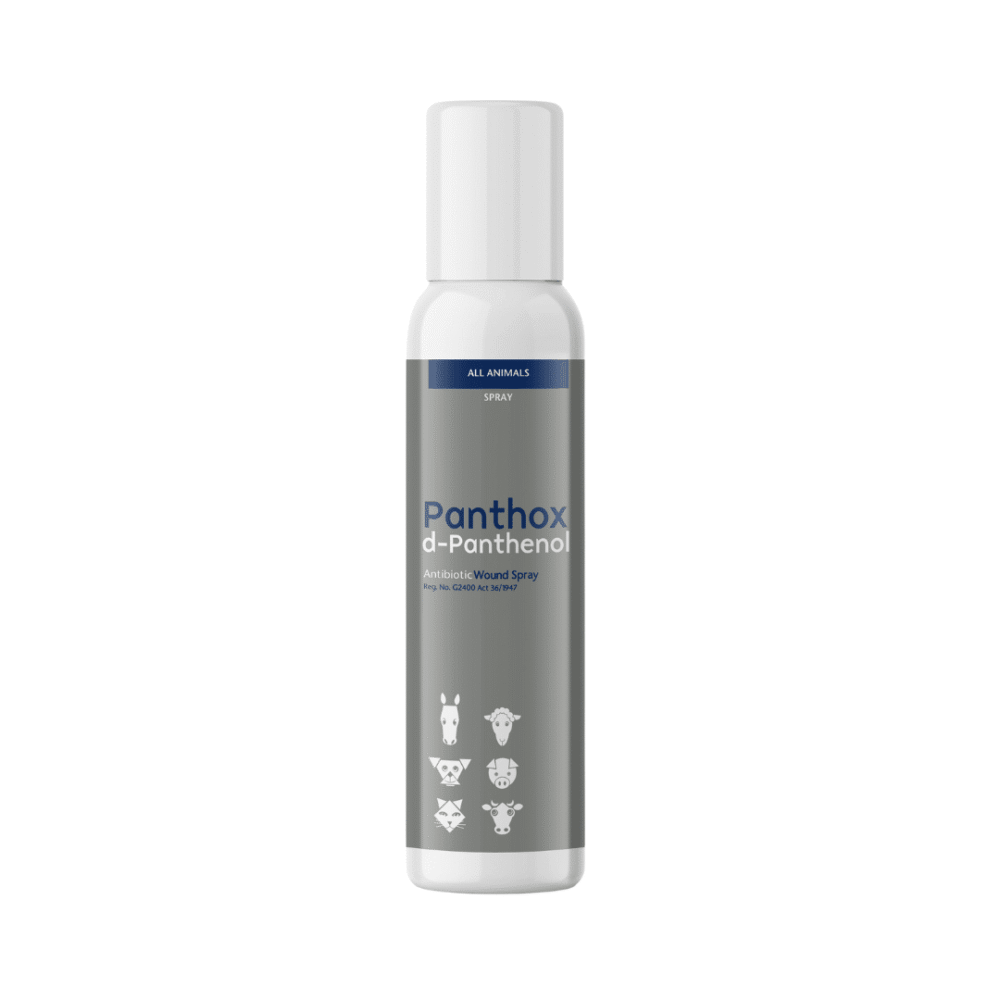 Panthox d-panthenol Clear Antibiotic Wound Spray (200ml)