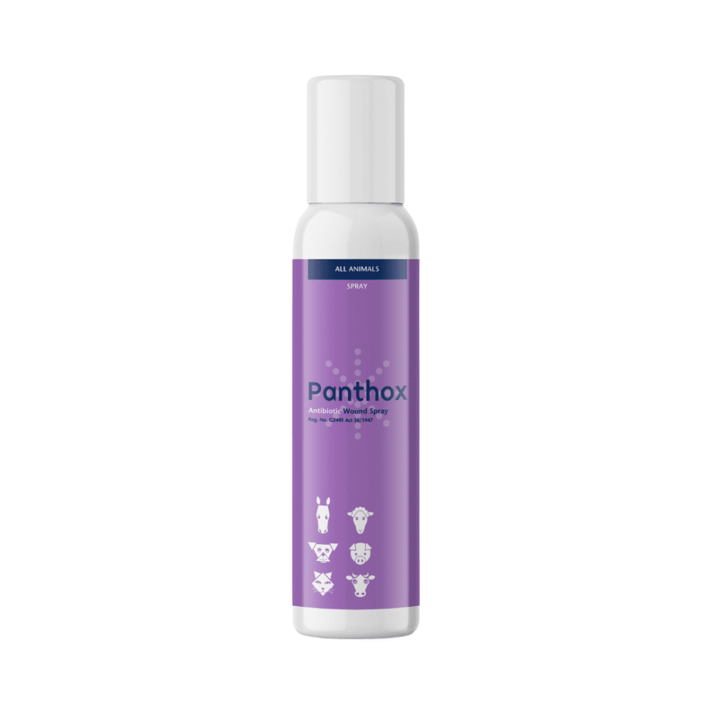 Panthox Antibiotic Wound Spray (200ml)