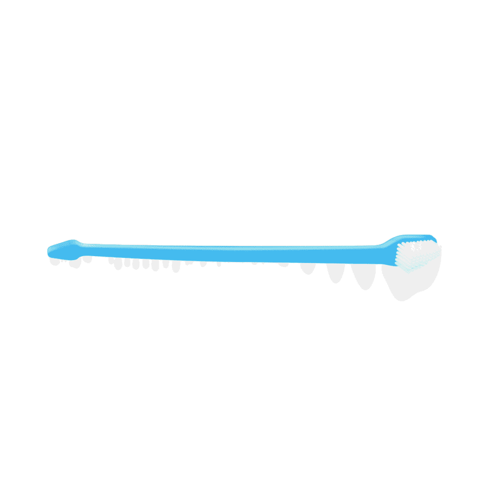 Pet Dent Toothbrush