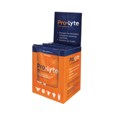 Pro-Lyte Powder with Glutamine (10 X 20g Sachets)