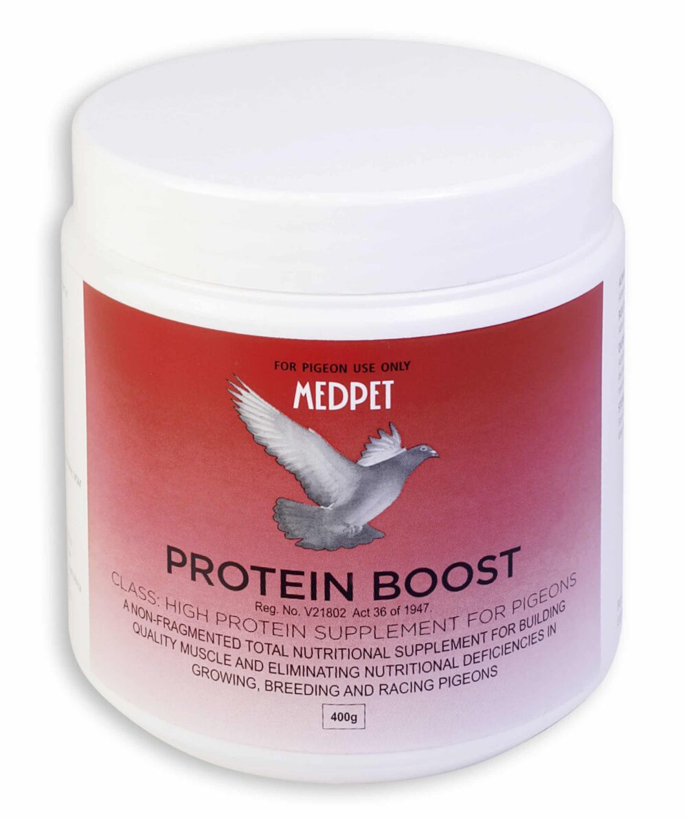 PROTEIN BOOST 400G