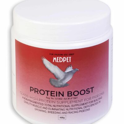 PROTEIN BOOST 400G