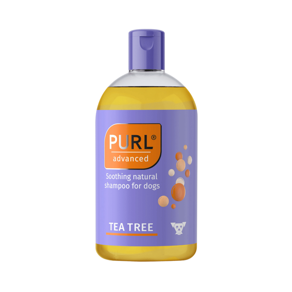 PURL TEA TREE OIL S/POO 250ML