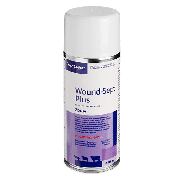 Wound Sept Plus
